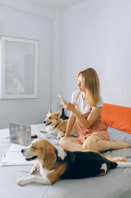 Wat zijn de belangrijkste redenen om voor een bepaalde internet- en tv-provider te kiezen?